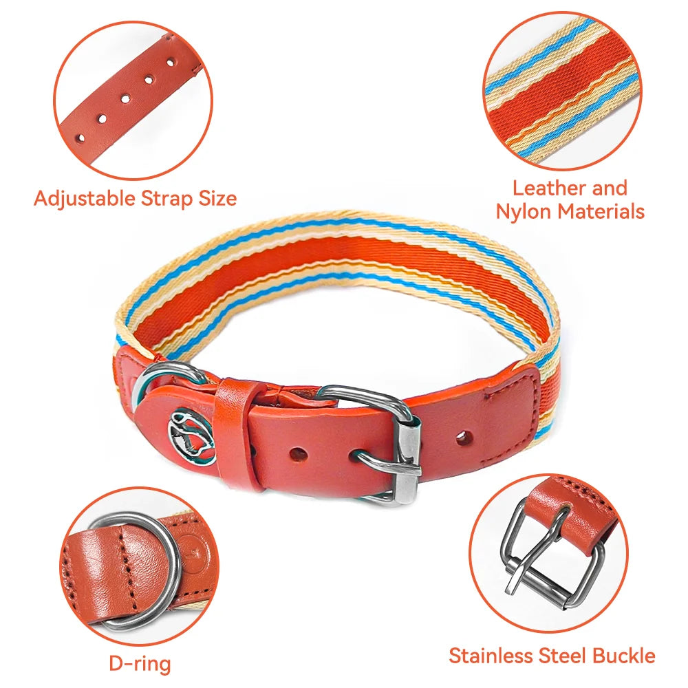 Adjustable Dog Collar and Leash Set for Small Medium Large Dogs Neck Size 12 to 32 Inches