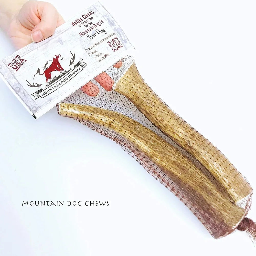 Medium Whole Elk Antler 2 Pack Dog Chew Grade A Premium