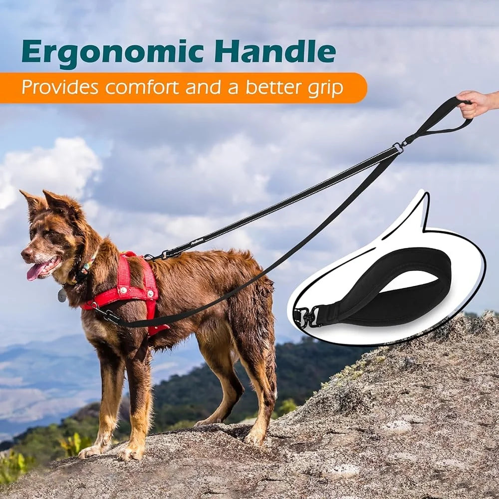 Reflective Two Point Control Dog Leash No Pull Training Lead
