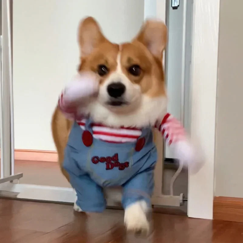 Funny Dog Chucky Costume Sweatshirt Set Halloween Pet