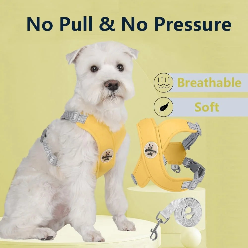 No Pull Dog Harness Leash Set Adjustable Comfortable Vest Reflective Mesh for Safe Dog Training and Walking Outdoor Activities