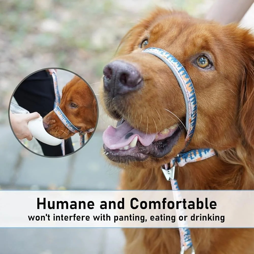 Dog Head Collar Anti Pulling Halter with Leash Adjustable Snout Harness for Large Medium Small Dogs Safe Durable Training Tool