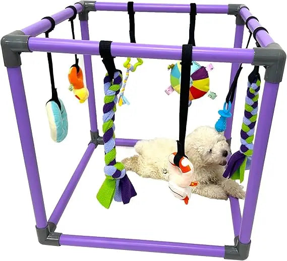 Puppy Play Gym For Small Dogs 8 Hanging Toys Jungle Gym