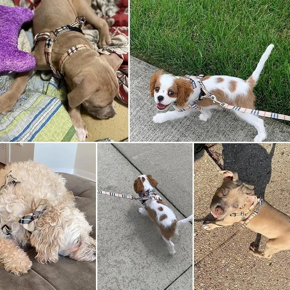 Adjustable No Pull Dog Harness And Leash Set Escape Proof Plaid Design For Small Medium Dogs Training Outdoor Use