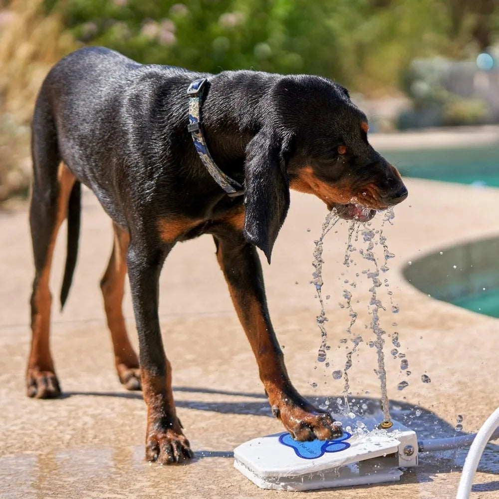 Dog Pedal Water Fountain Step On Sprinkler Giant Tennis Ball