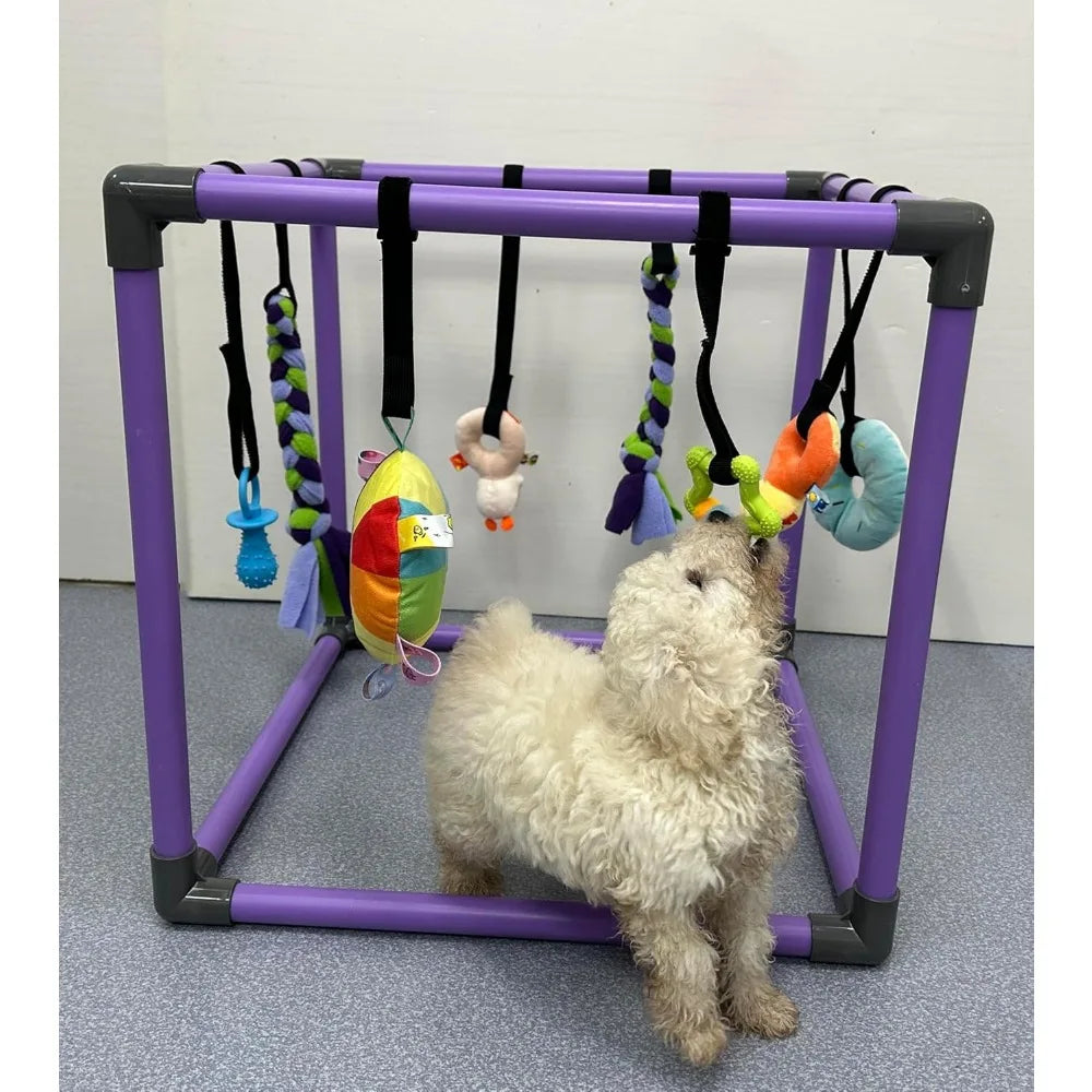 Puppy Play Gym For Small Dogs 8 Hanging Toys Jungle Gym
