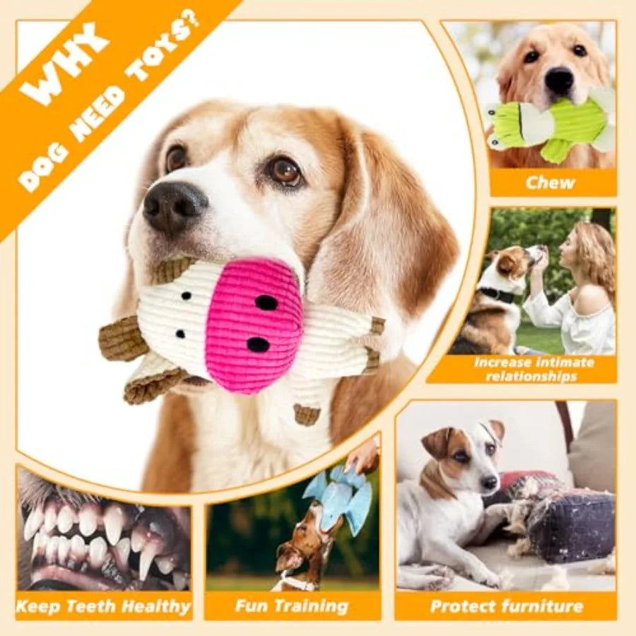 5 Pack Squeaky Dog Toys Durable Plush Chew Toys Assortment
