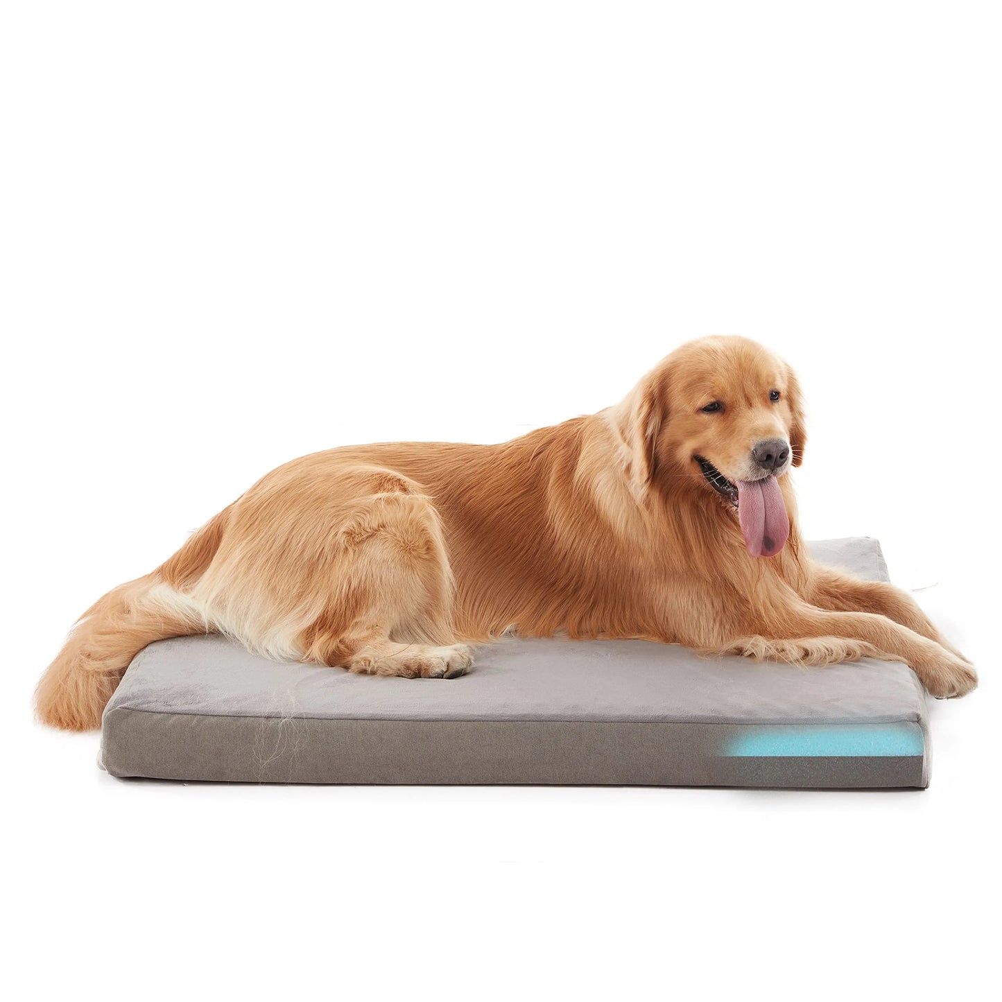 Orthopedic Waterproof Plush Dog Bed Anti Slip Bottom