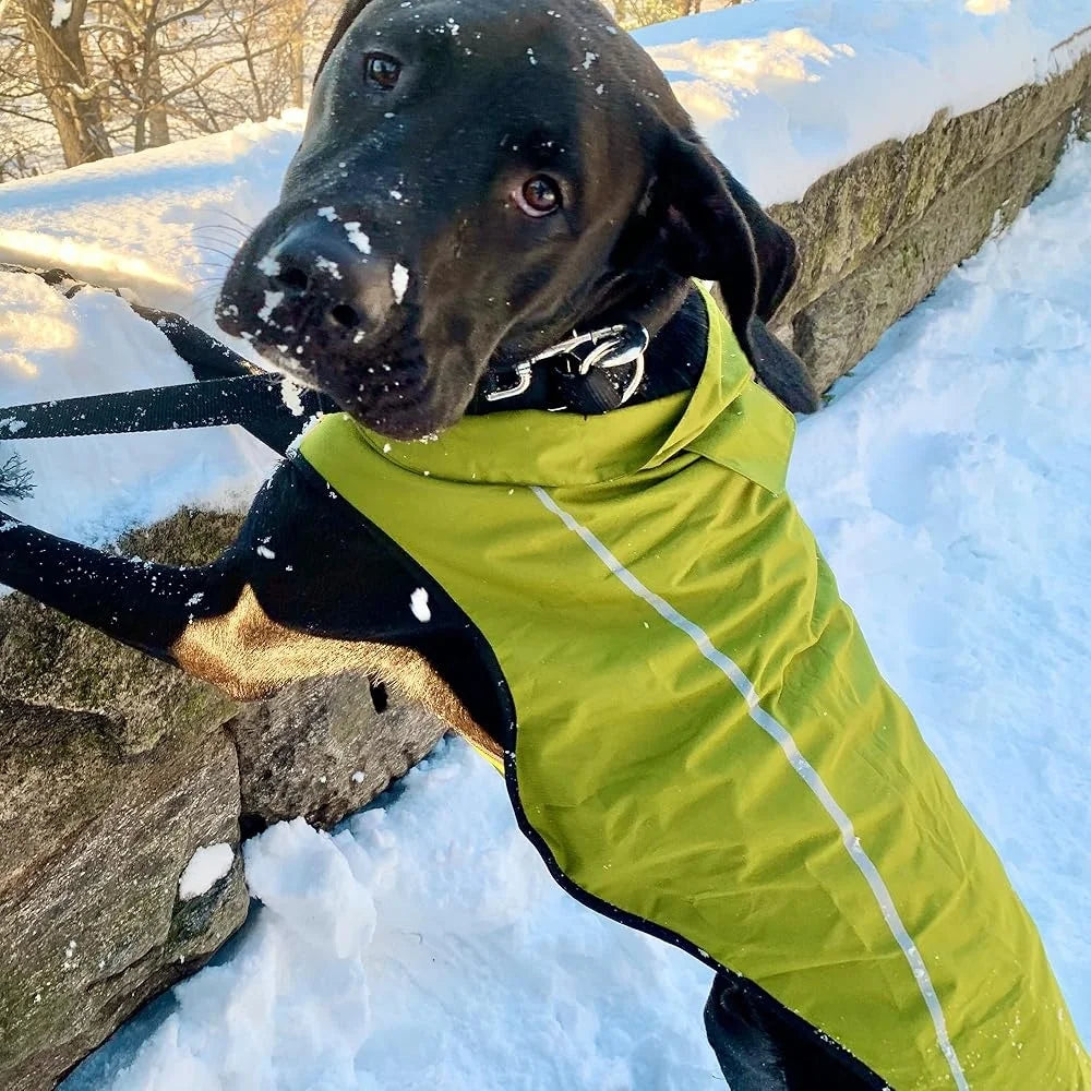 Reflective Dog Raincoat Waterproof Adjustable Lightweight Breathable Jacket With Leash Hole For Small Medium Large Breeds