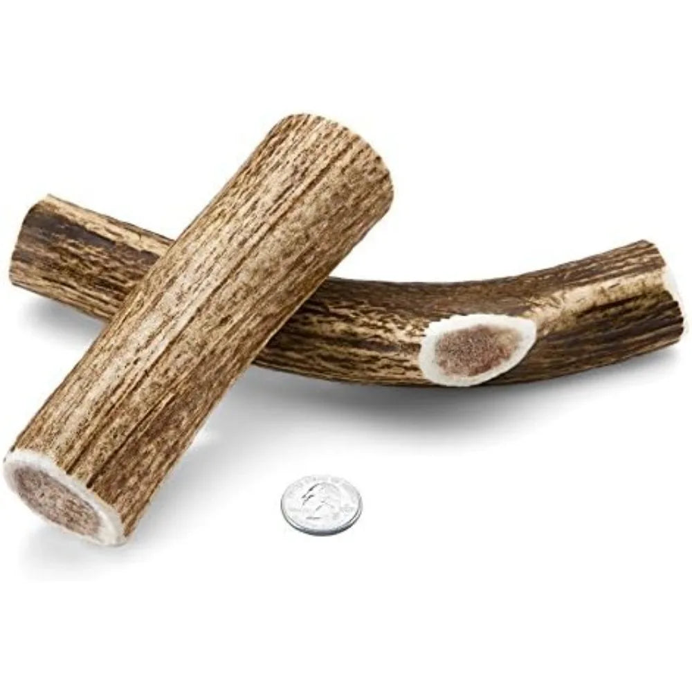 Medium Whole Elk Antler 2 Pack Dog Chew Grade A Premium