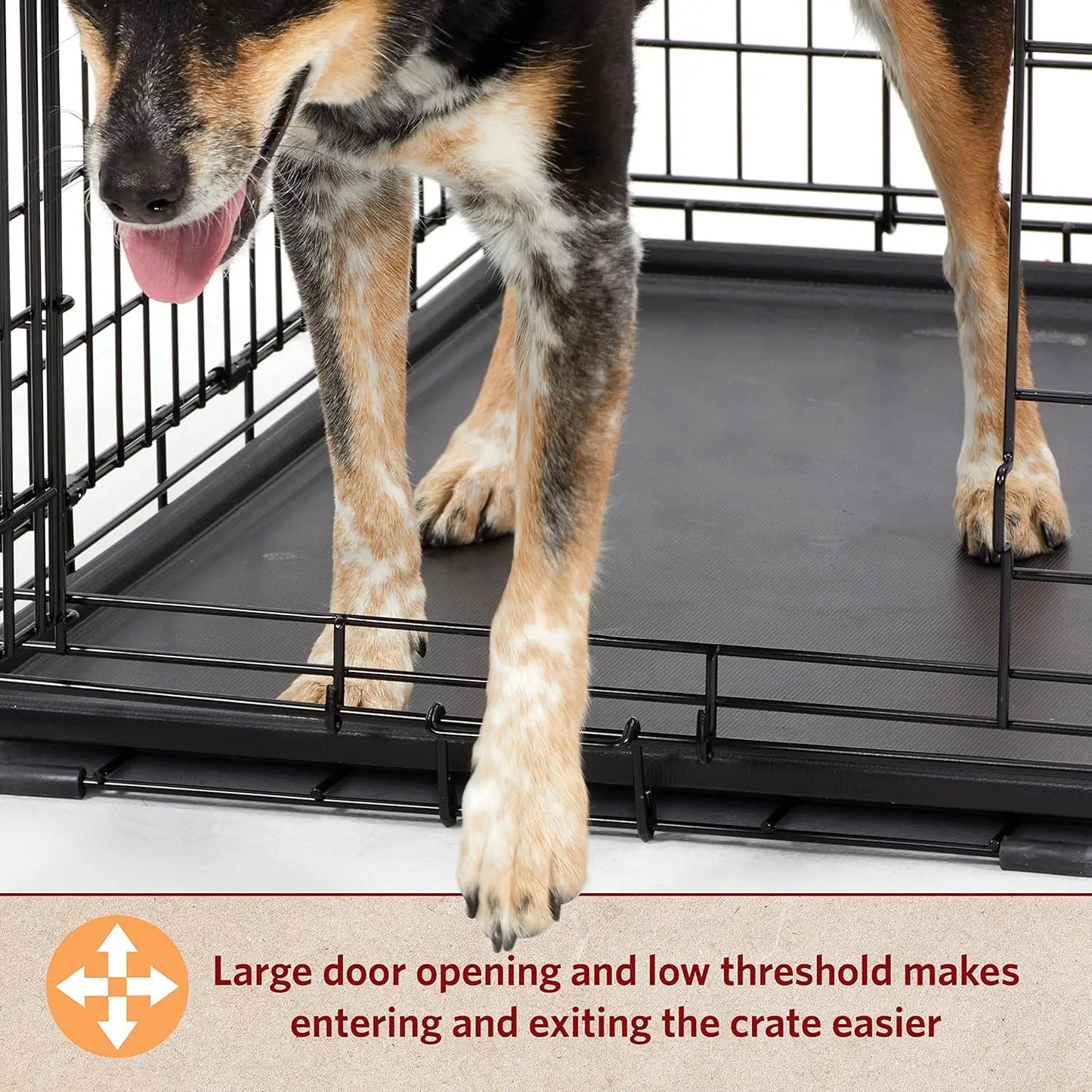 Life Stages LS1648DD Folding Crate X Large Dogs 91 110 Lbs