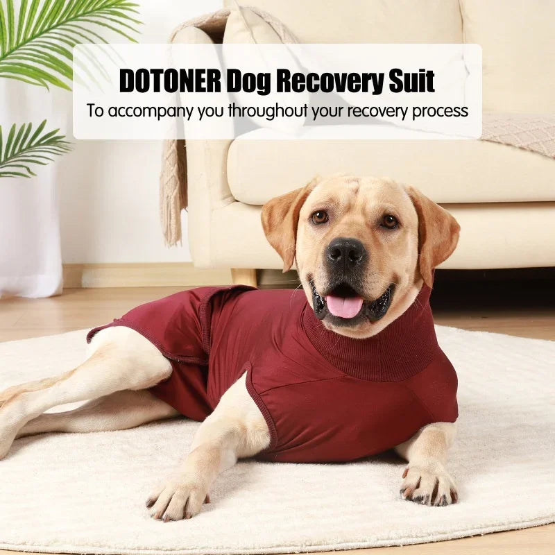 Recovery Suit For Dogs Cats After Surgery Prevent Licking