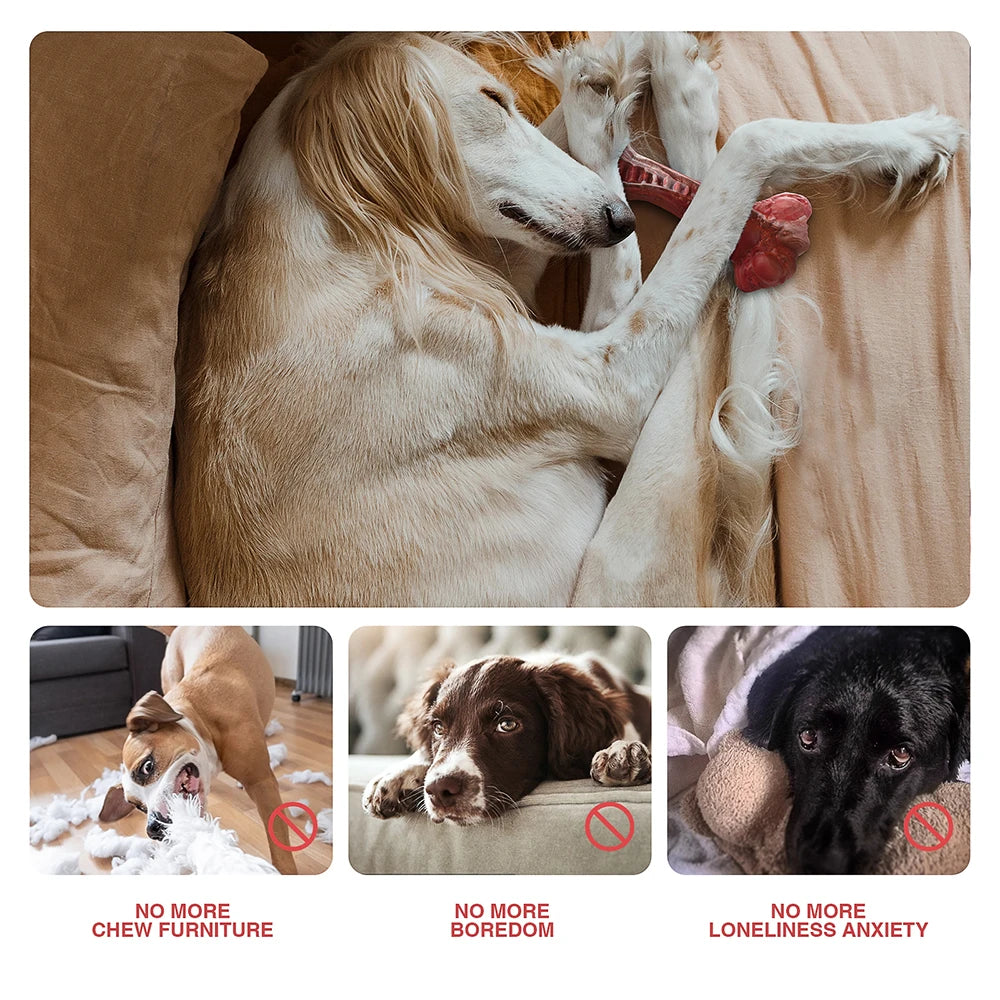 Masbrill Dog Toys for Aggressive Chewers Large Dogs Bone Shaped Indestructible Nylon Interactive Teeth Cleaning Chew Toy