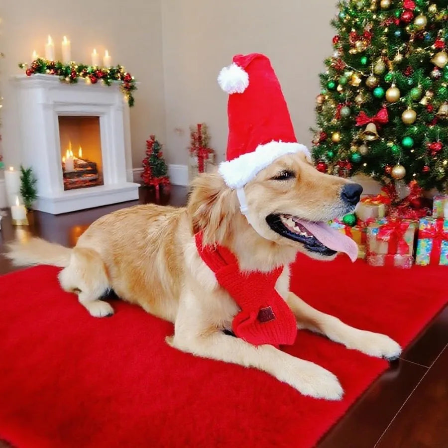 Santa Hat And Scarf Set For Medium To Large Dogs Two Piece Adjustable Christmas Costume