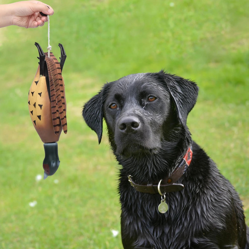 Multipurpose Dead Fowl Fetch Toy for Dogs Training Outdoor