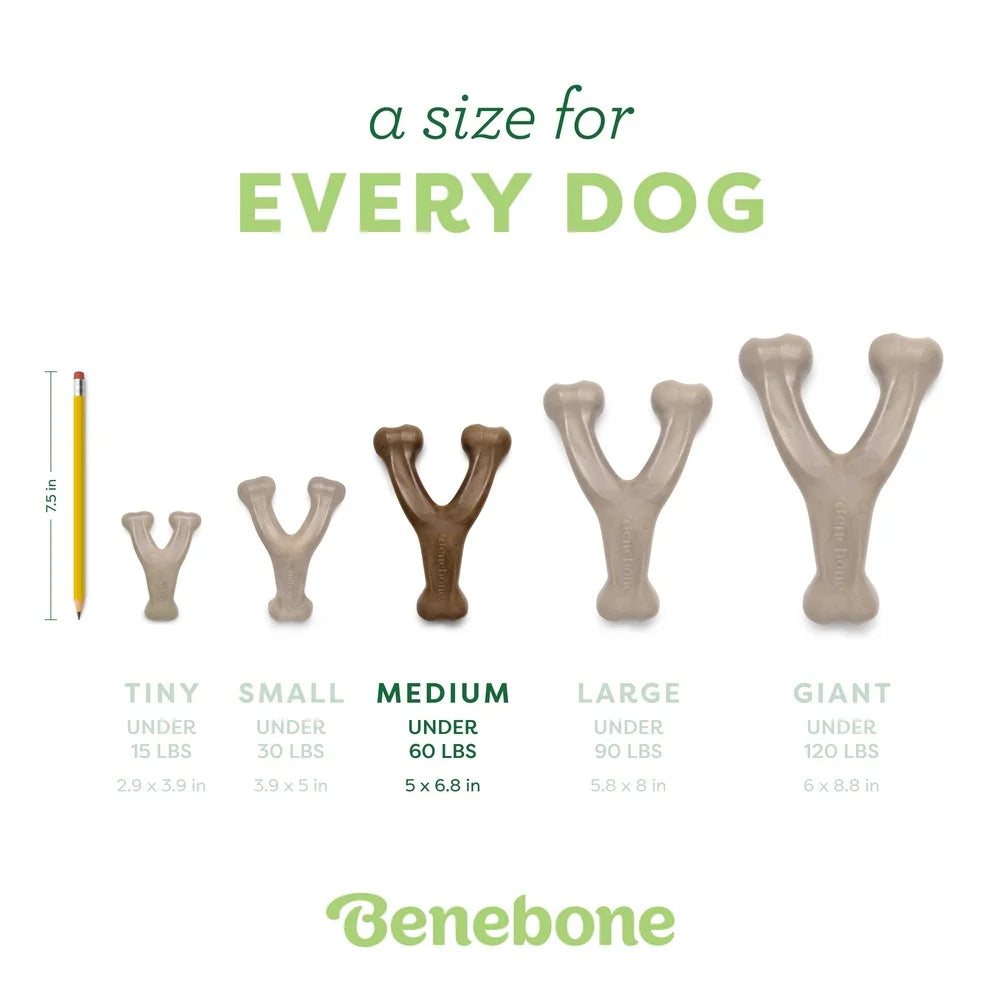 Durable Dog Chew Toy Aggressive Chewers Real Peanut Flavor