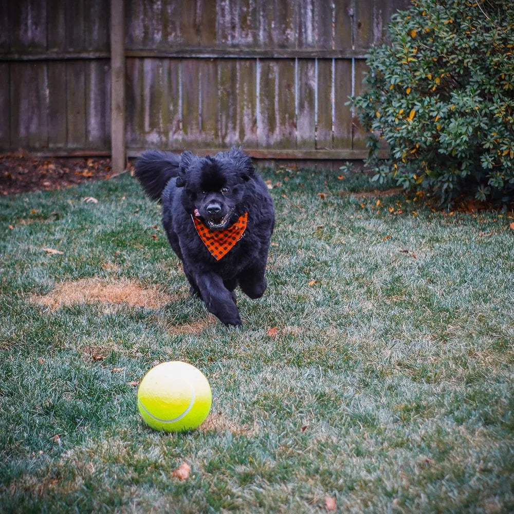 Dog Pedal Water Fountain Step On Sprinkler Giant Tennis Ball