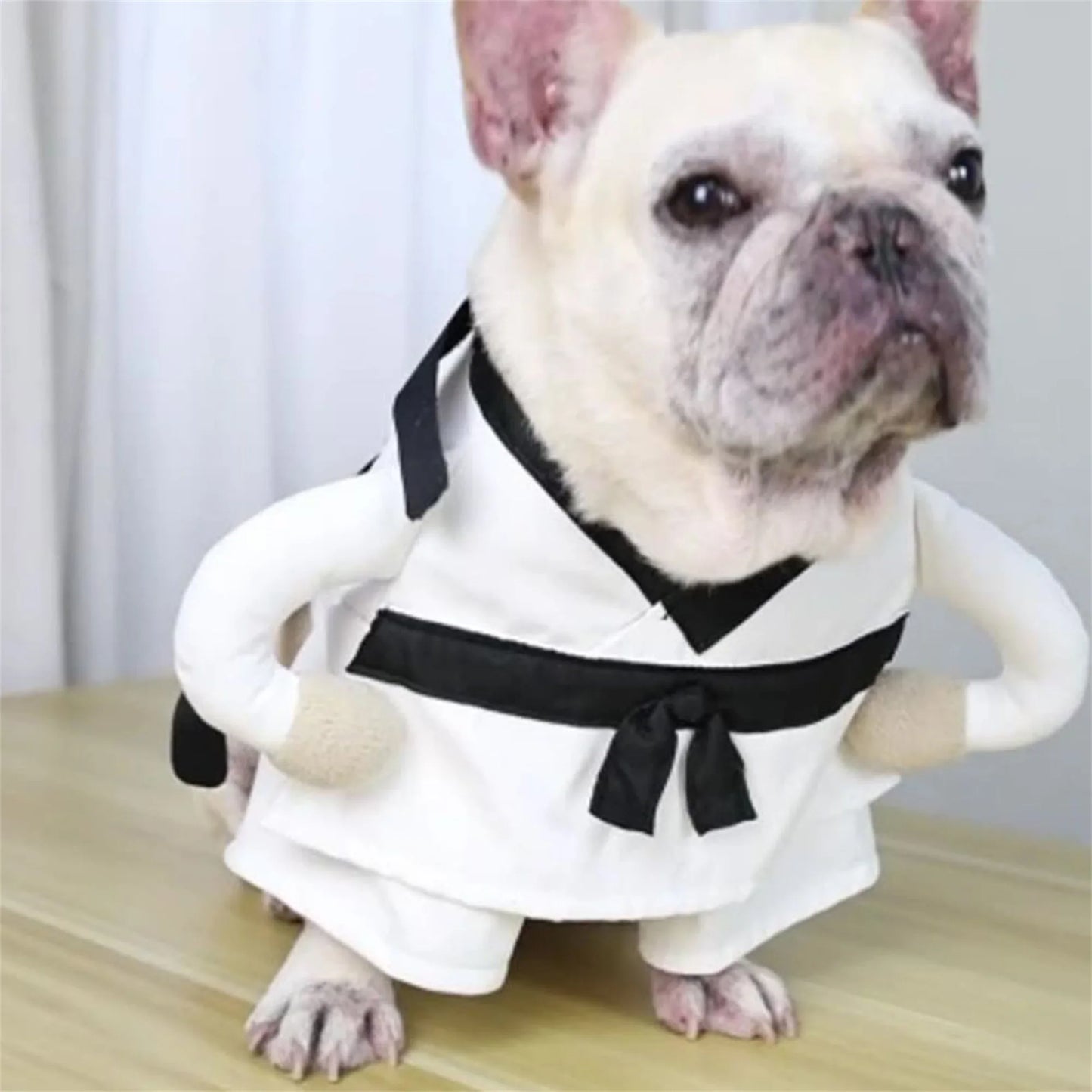 Funny Halloween Pet Costume For Dogs Cats Indoor Outdoor