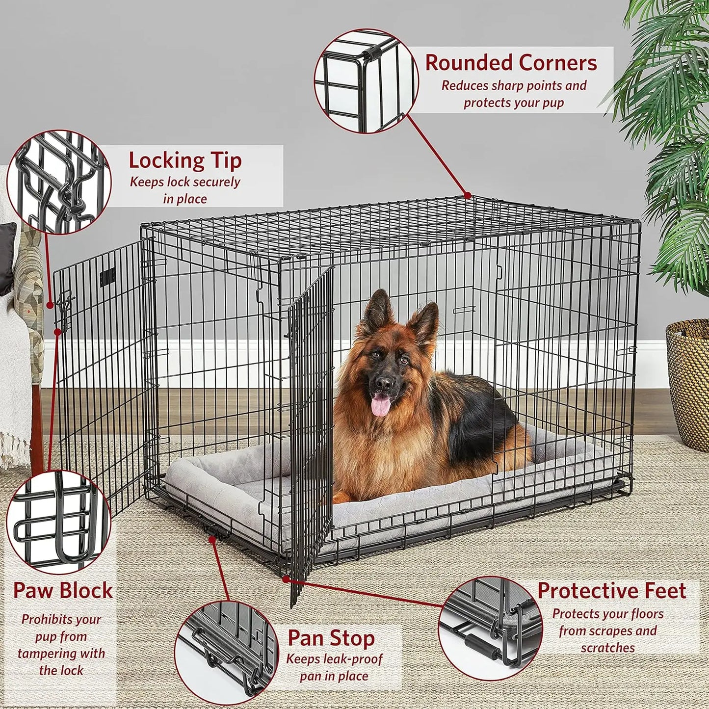Life Stages LS1648DD Folding Crate X Large Dogs 91 110 Lbs