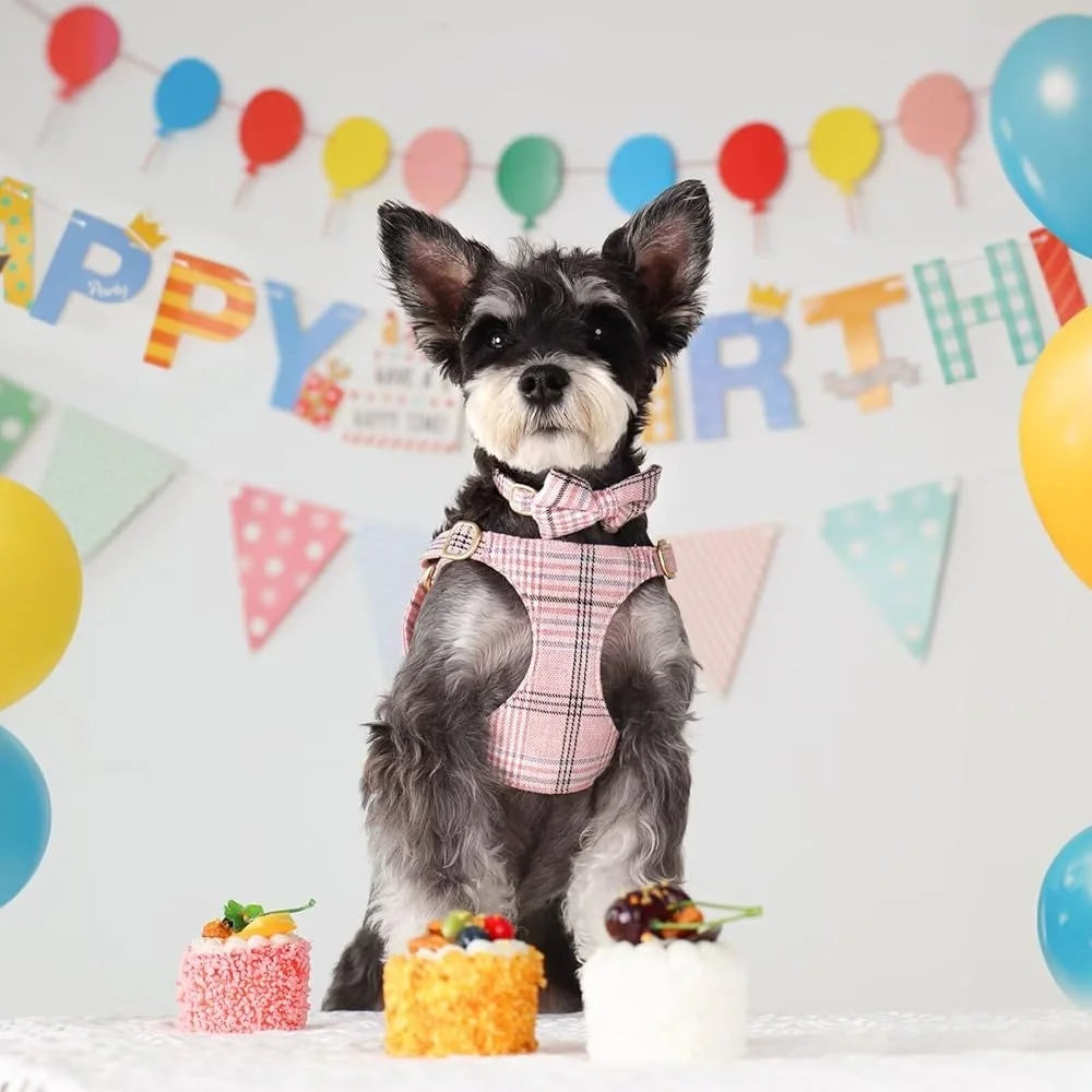 Cute Small Dog Harness Collar Leash Set Adjustable Soft Plaid Design for XS Dogs and Cats Ideal for Walks and Parties