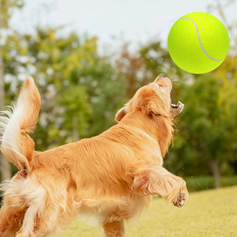 Oversize 9.5 Inch Giant Inflatable Tennis Ball for Pets