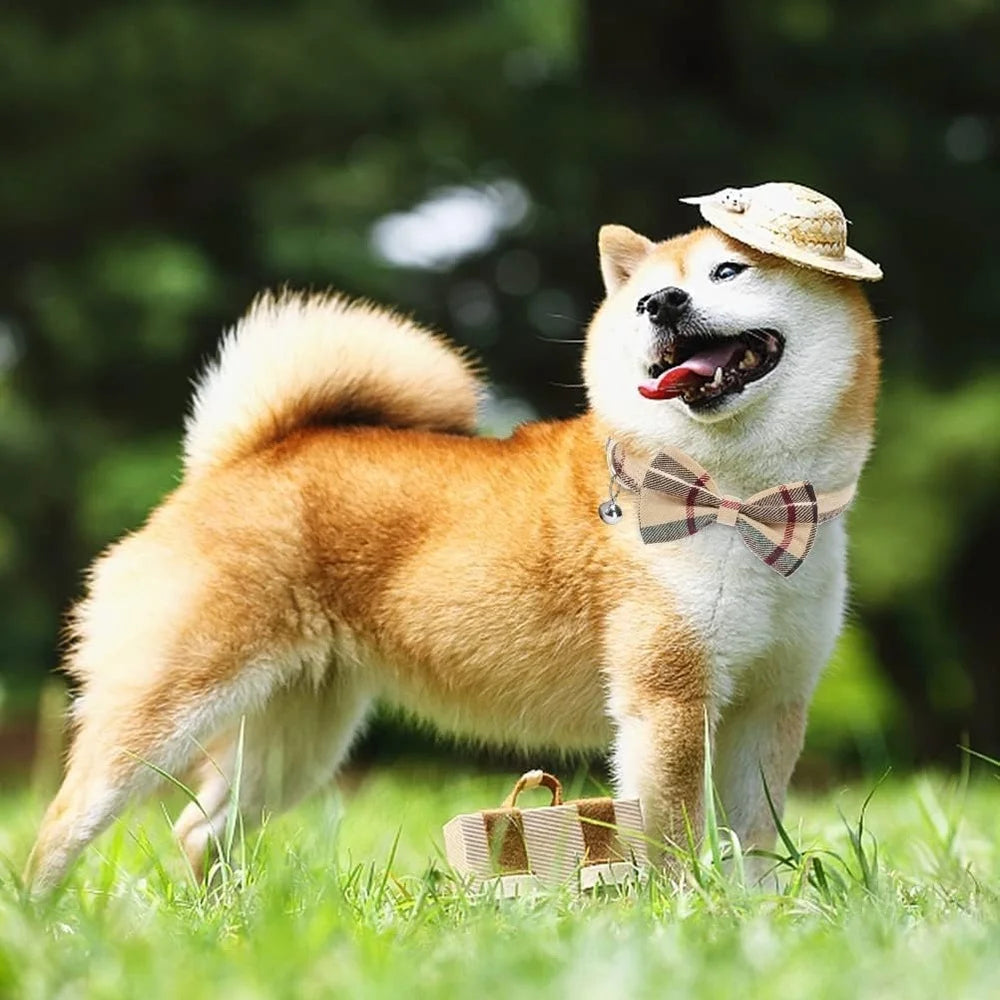 Adjustable No Pull Dog Harness And Leash Set Escape Proof Plaid Design For Small Medium Dogs Training Outdoor Use