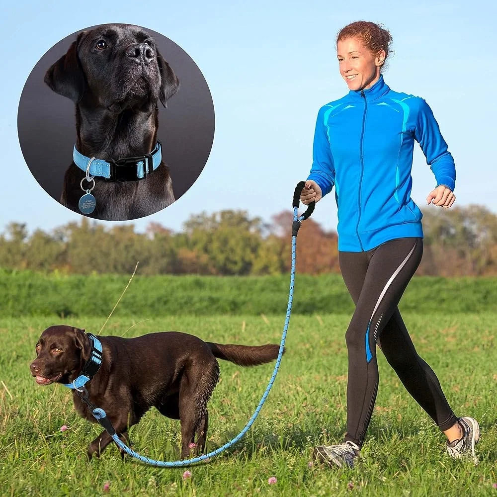 Adjustable Reflective Dog Collar Padded Neoprene Durable Nylon for Small Medium Large Dogs with Bonus 5ft Leash