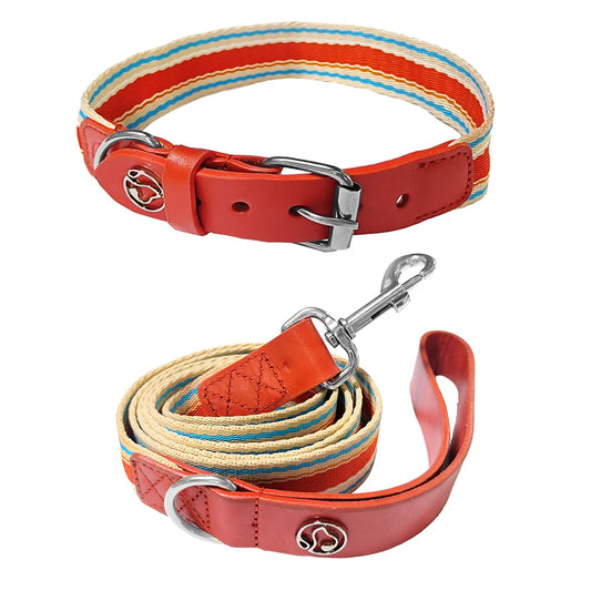 Adjustable Dog Collar and Leash Set for Small Medium Large Dogs Neck Size 12 to 32 Inches