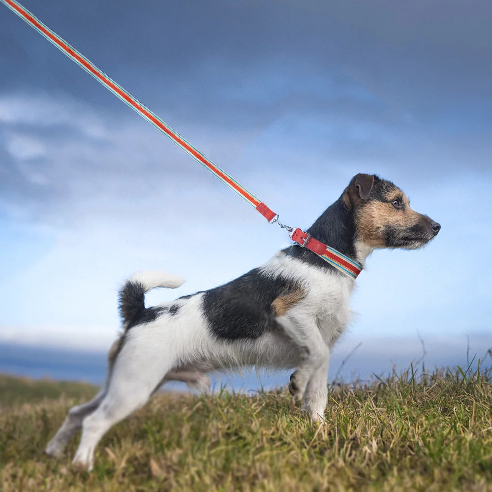 Adjustable Dog Collar and Leash Set for Small Medium Large Dogs Neck Size 12 to 32 Inches