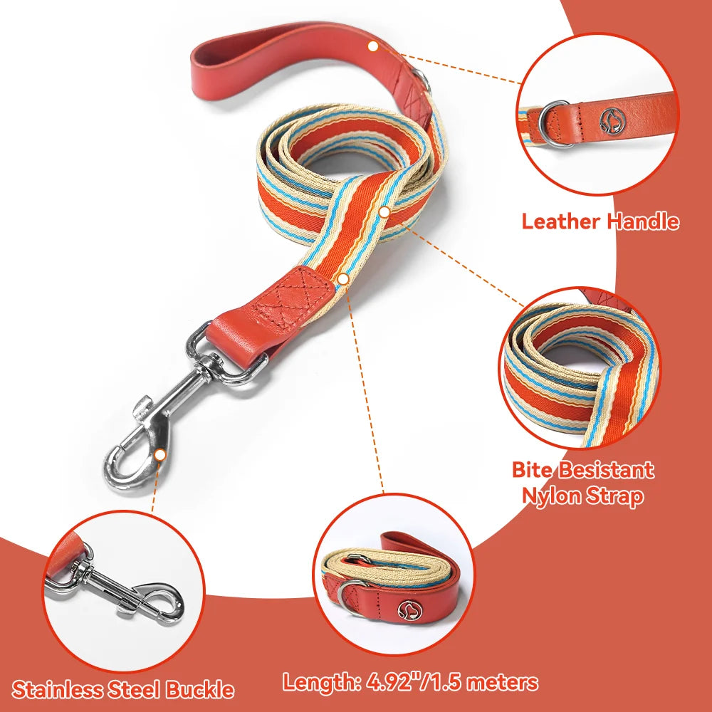Adjustable Dog Collar and Leash Set for Small Medium Large Dogs Neck Size 12 to 32 Inches