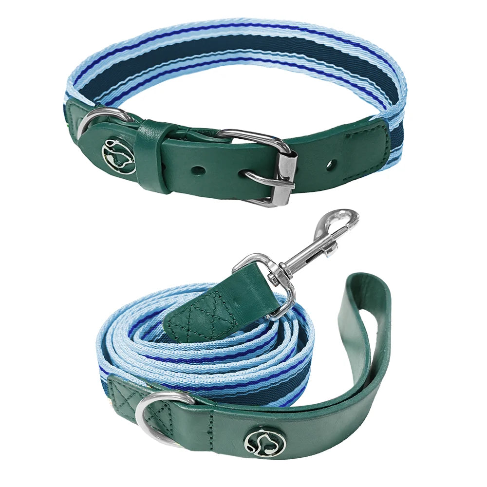 Adjustable Dog Collar and Leash Set for Small Medium Large Dogs Neck Size 12 to 32 Inches