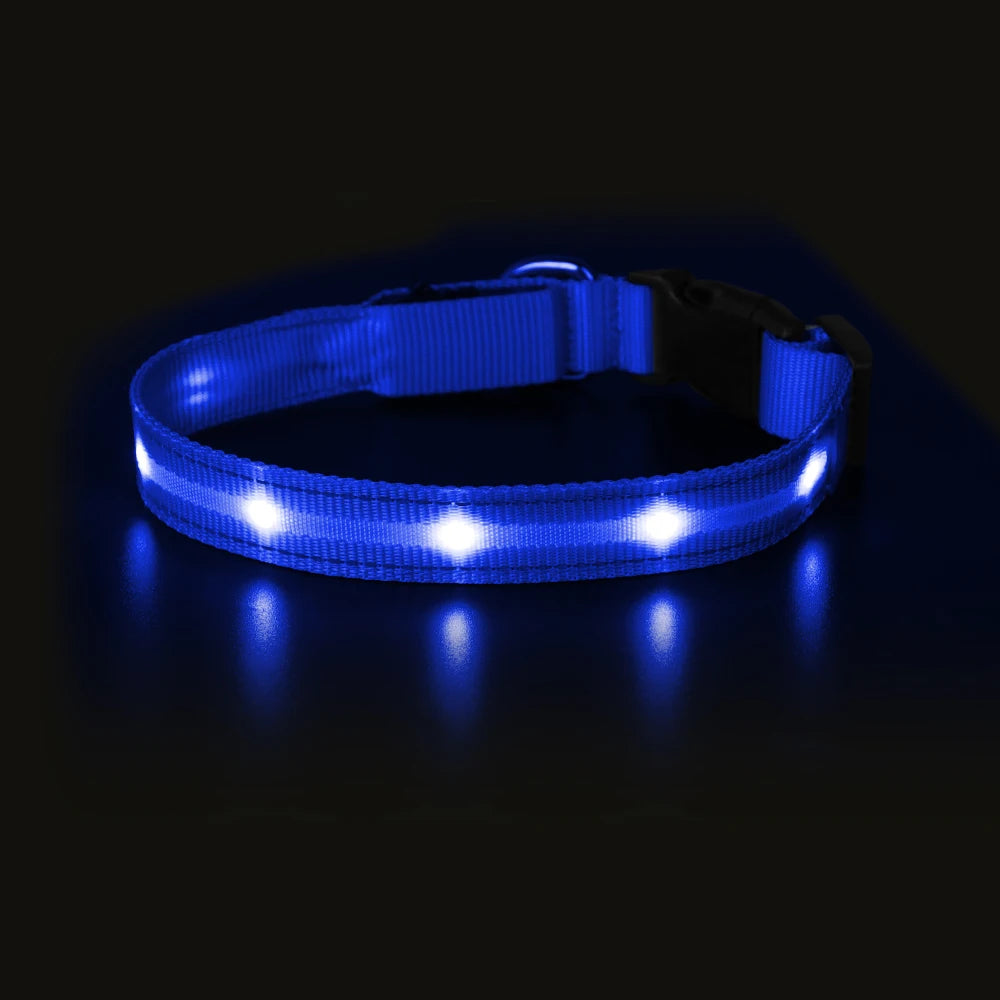 Masbrill Light Up Dog Collar LED USB Rechargeable Bright