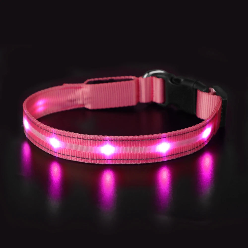 Masbrill Light Up Dog Collar LED USB Rechargeable Bright