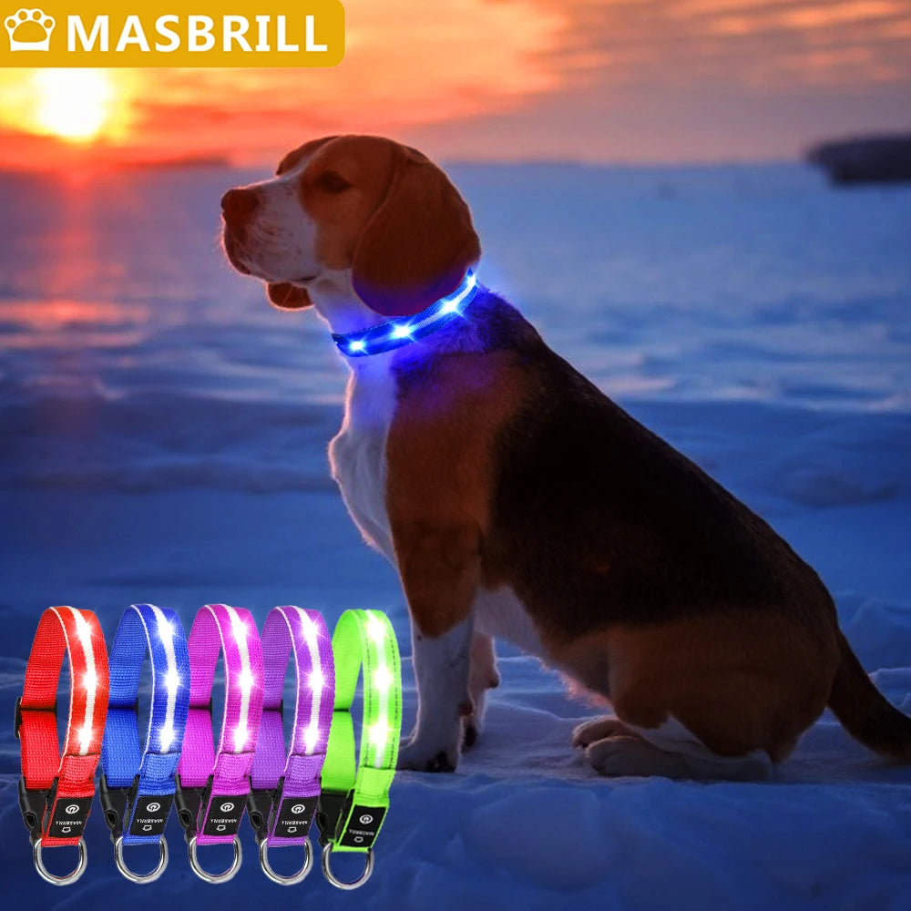 Masbrill Light Up Dog Collar LED USB Rechargeable Bright