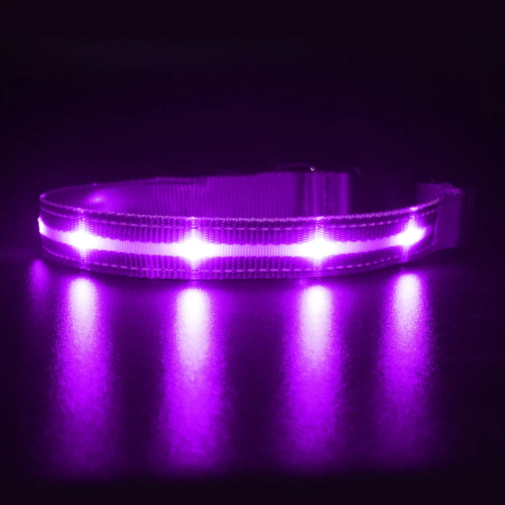Masbrill Light Up Dog Collar LED USB Rechargeable Bright
