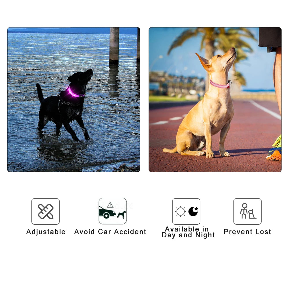 Masbrill Light Up Dog Collar LED USB Rechargeable Bright
