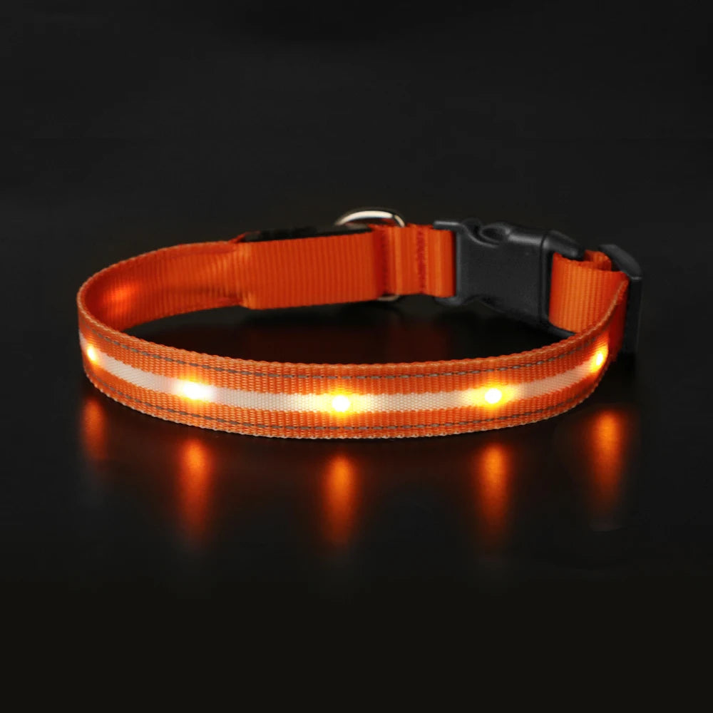 Masbrill Light Up Dog Collar LED USB Rechargeable Bright
