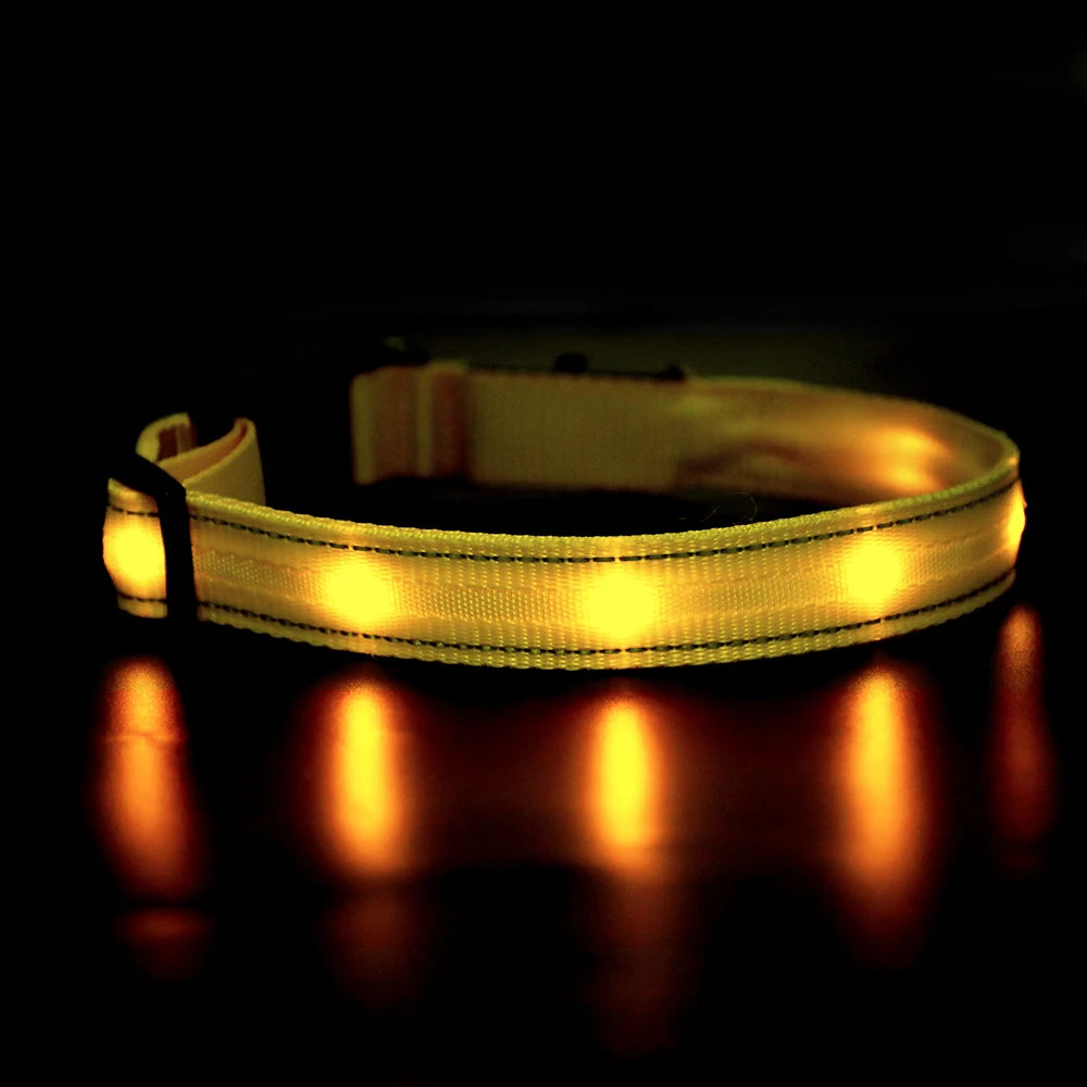 Masbrill Light Up Dog Collar LED USB Rechargeable Bright