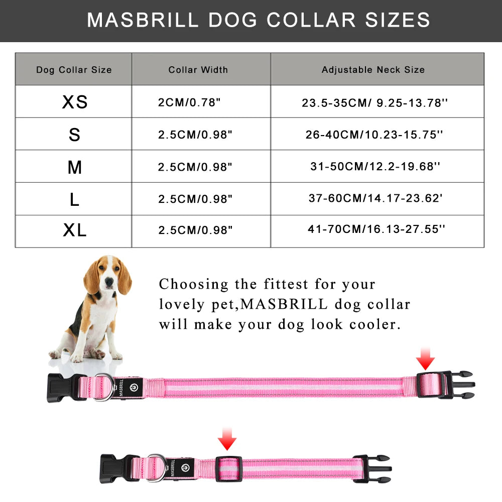Masbrill Light Up Dog Collar LED USB Rechargeable Bright