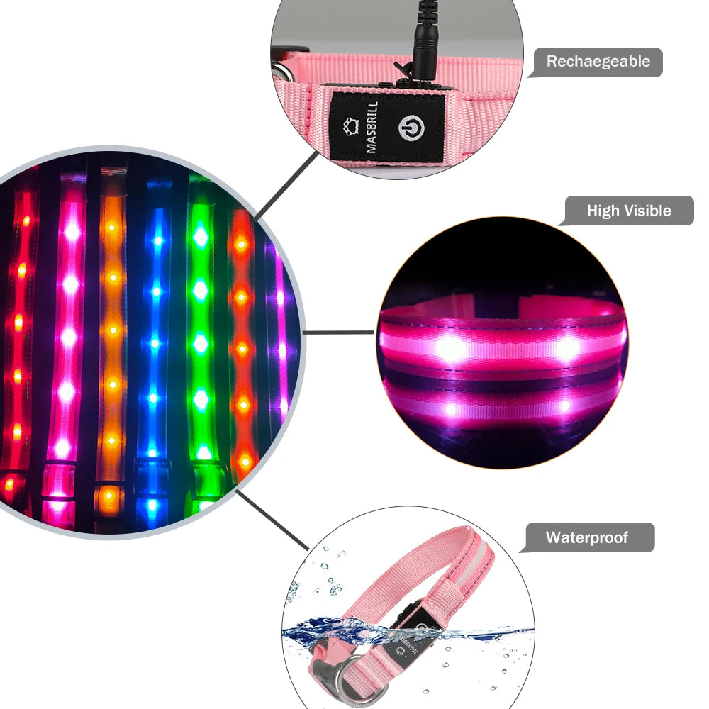 Masbrill Light Up Dog Collar LED USB Rechargeable Bright