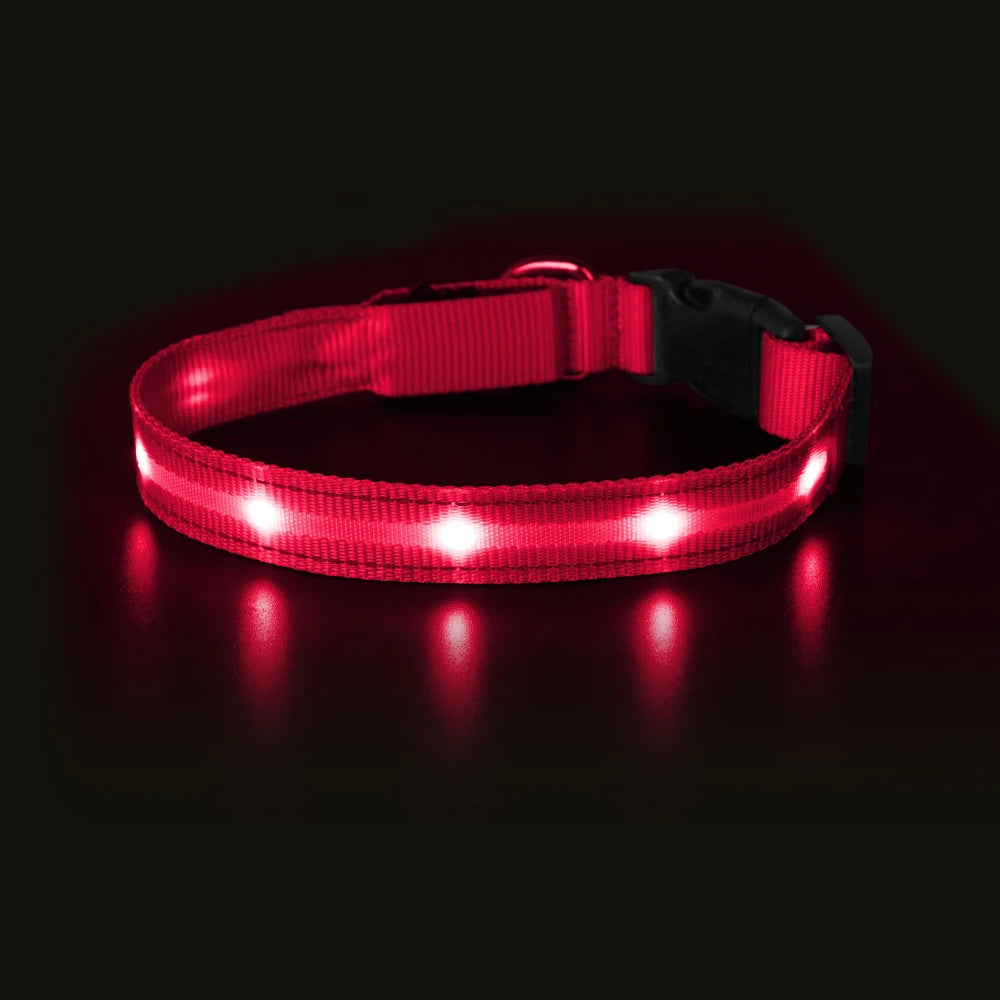 Masbrill Light Up Dog Collar LED USB Rechargeable Bright