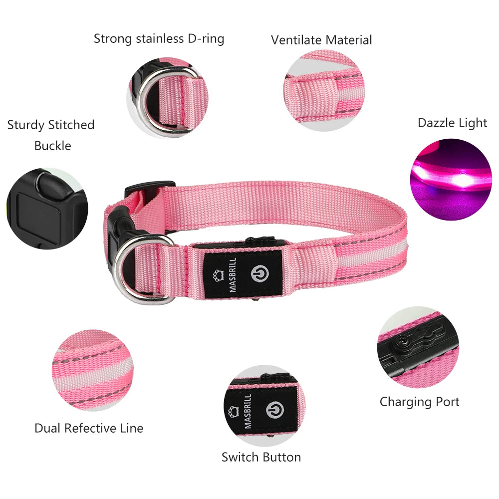 Masbrill Light Up Dog Collar LED USB Rechargeable Bright