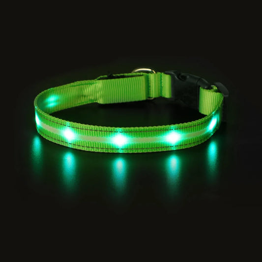 Masbrill Light Up Dog Collar LED USB Rechargeable Bright