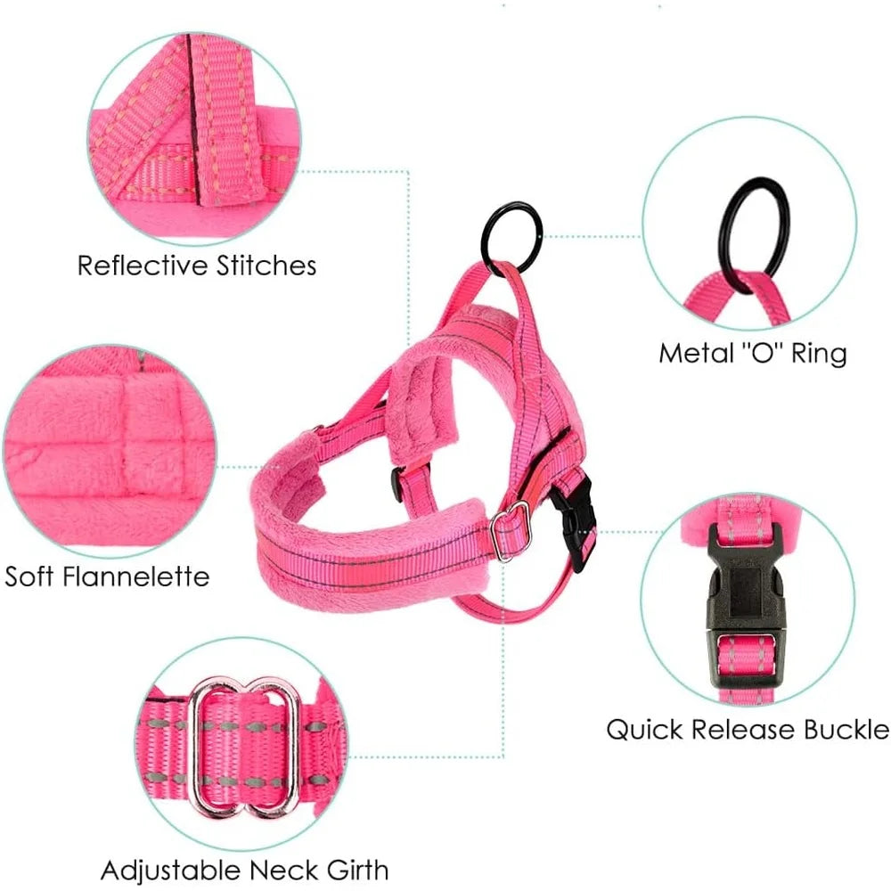 Soft Padded Dog Harness Leash Set Adjustable Reflective Vest for Small Dogs Quick Fit Neck and Chest Safe Walking with 4ft Leash