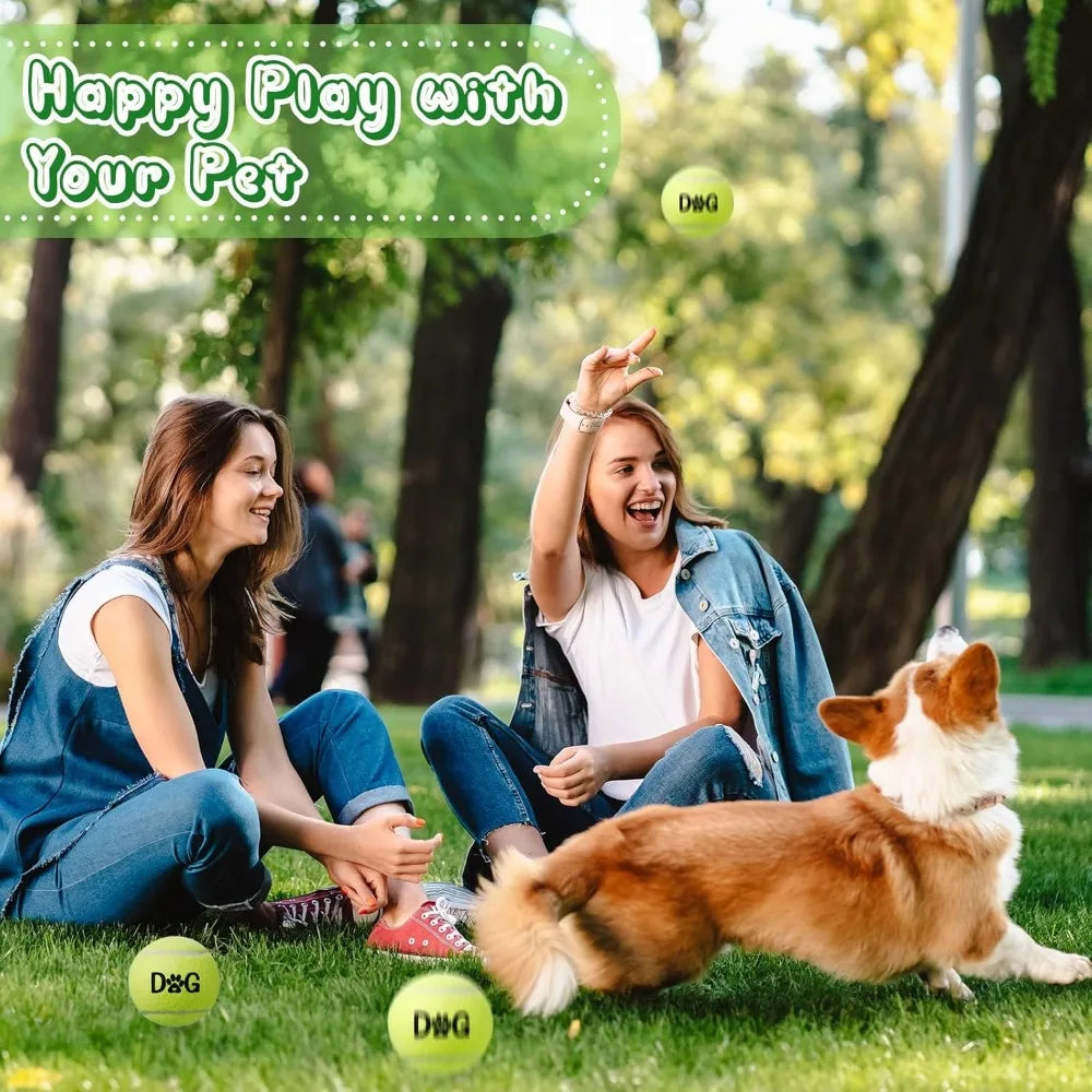 40 Pack 2.5 Inch Tennis Balls Dog Toys With Carry Bags