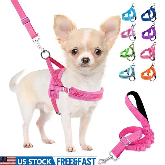Soft Padded Dog Harness Leash Set Adjustable Reflective Vest for Small Dogs Quick Fit Neck and Chest Safe Walking with 4ft Leash