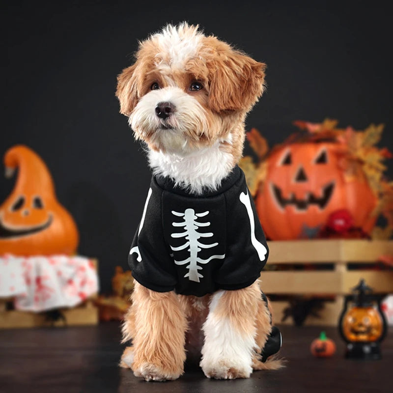 Halloween Dog Costume Night Light Adjustable Bust Comfort