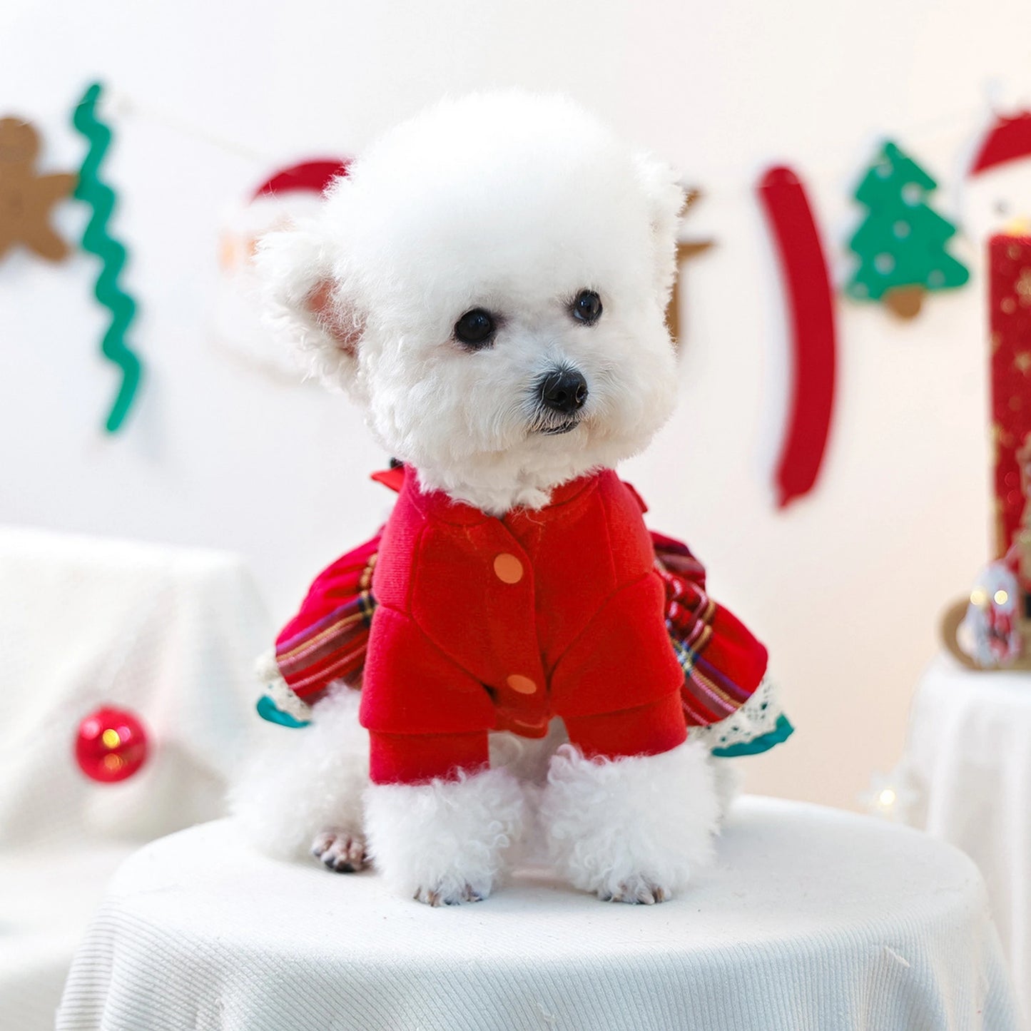 Christmas Dog Costume With Santa Hat And Jingle Bell Collar