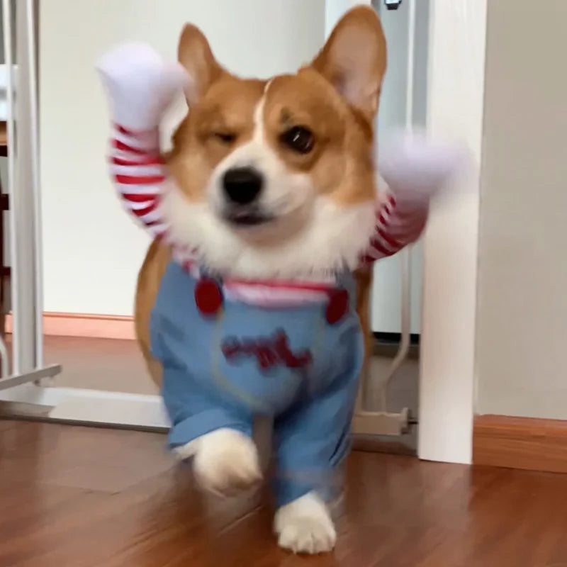 Funny Dog Chucky Costume Sweatshirt Set Halloween Pet