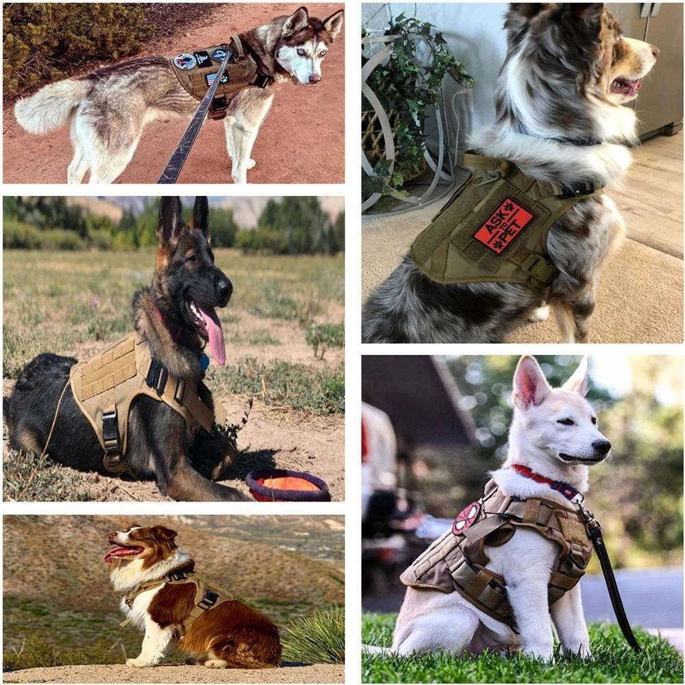Pet Leash Set Chest 1000D Nylon Camouflage Dog Harness